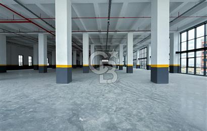DELİKLİKAYA BÖLGESİNDE KİRALIK 17.000 m2 FABRİKA