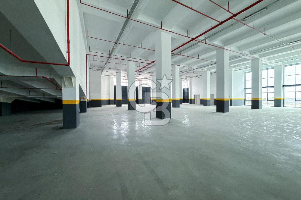 Deliklikaya Bölgesinde Kiralık H:7m 4457 m2 Düz Giriş Fabrika