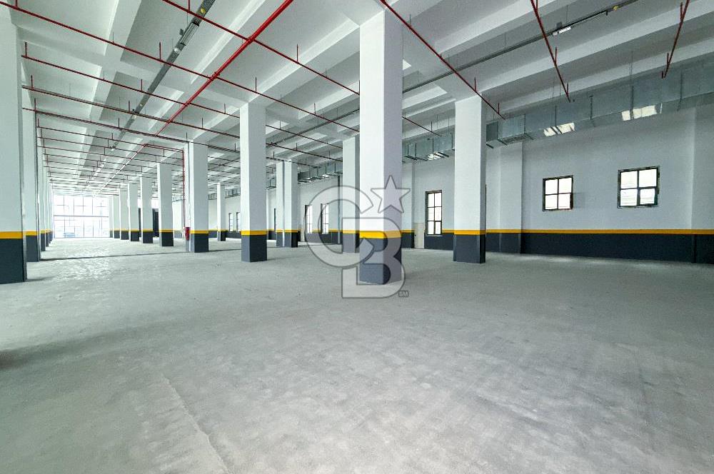 DELİKLİKAYA BÖLGESİNDE KİRALIK 17.000 m2 FABRİKA