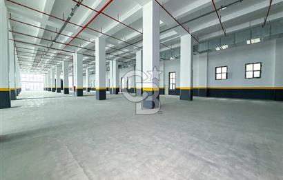 DELİKLİKAYA BÖLGESİNDE KİRALIK 17.000 m2 FABRİKA