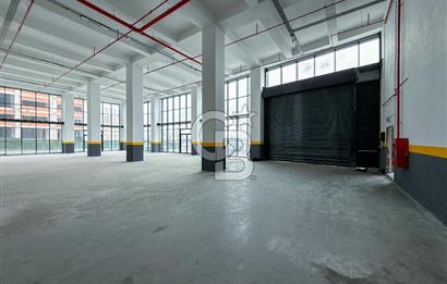 DELİKLİKAYA BÖLGESİNDE KİRALIK 17.000 m2 FABRİKA