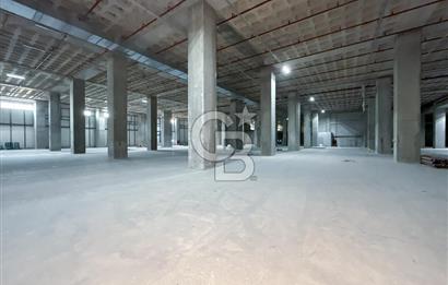 HADIMKÖY YOLU ÜZERİNDE A SINIFI 14.000M²H:9,40 8 RAMPA DEPO