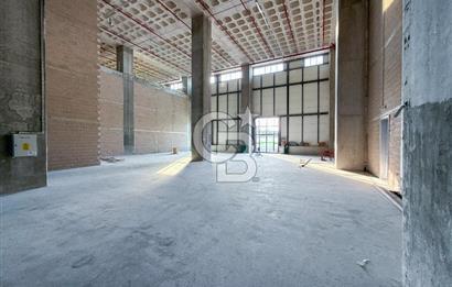 HADIMKÖY YOLUNA CEPHE A SINIFI 12.100m² H:12 11 RAMPA DEPO