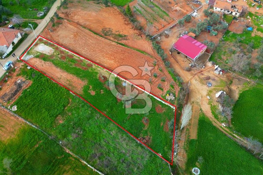 Muğla Menteşe Yenice'de içine 250 m2 ev yapılabilinecek Köy içi İmarlı Tarla