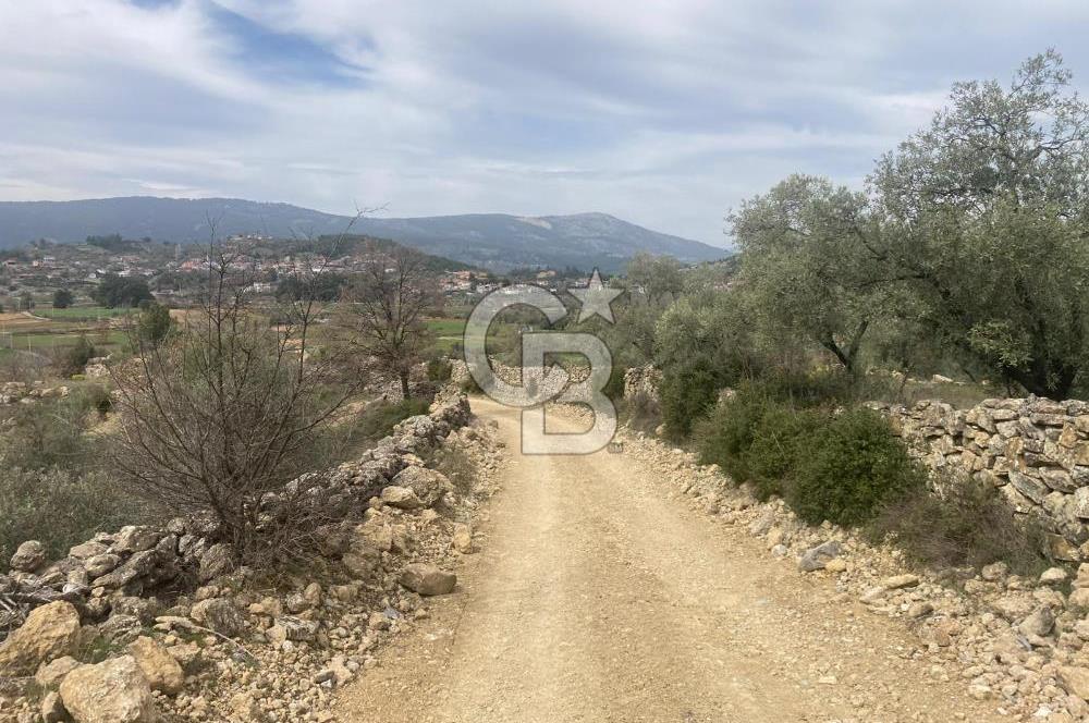 Muğla Menteşe Denizova'da Satılık 2232 m²  80m Yol Cepheli Tarla