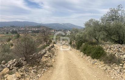 Muğla Menteşe Denizova'da Satılık 2232 m²  80m Yol Cepheli Tarla