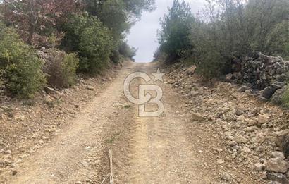 Muğla Menteşe Denizova'da Satılık 2232 m²  80m Yol Cepheli Tarla