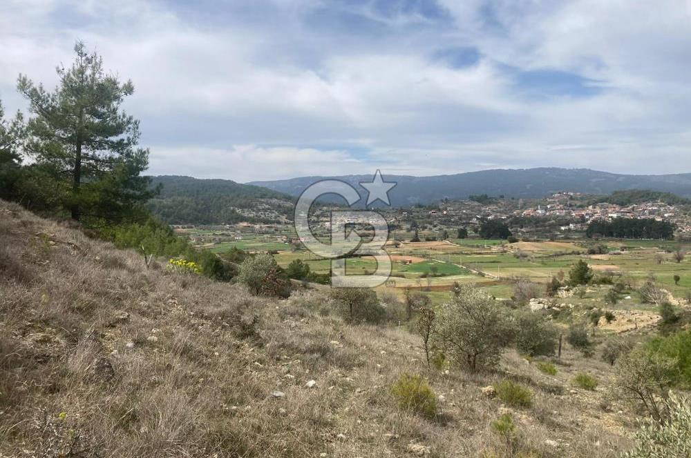 Muğla Menteşe Denizova'da Satılık 2232 m²  80m Yol Cepheli Tarla