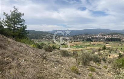 Muğla Menteşe Denizova'da Satılık 2232 m²  80m Yol Cepheli Tarla