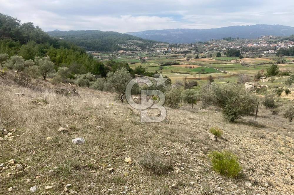 Muğla Menteşe Denizova'da Satılık 2232 m²  80m Yol Cepheli Tarla