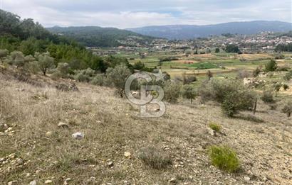 Muğla Menteşe Denizova'da Satılık 2232 m²  80m Yol Cepheli Tarla