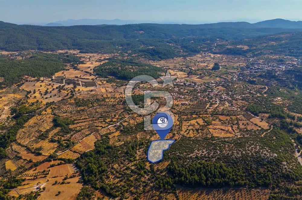 CB MARİNADAN MENTEŞE DENİZOVA'DA SATILIK TARLA