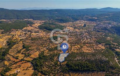 CB MARİNADAN MENTEŞE DENİZOVA'DA SATILIK TARLA