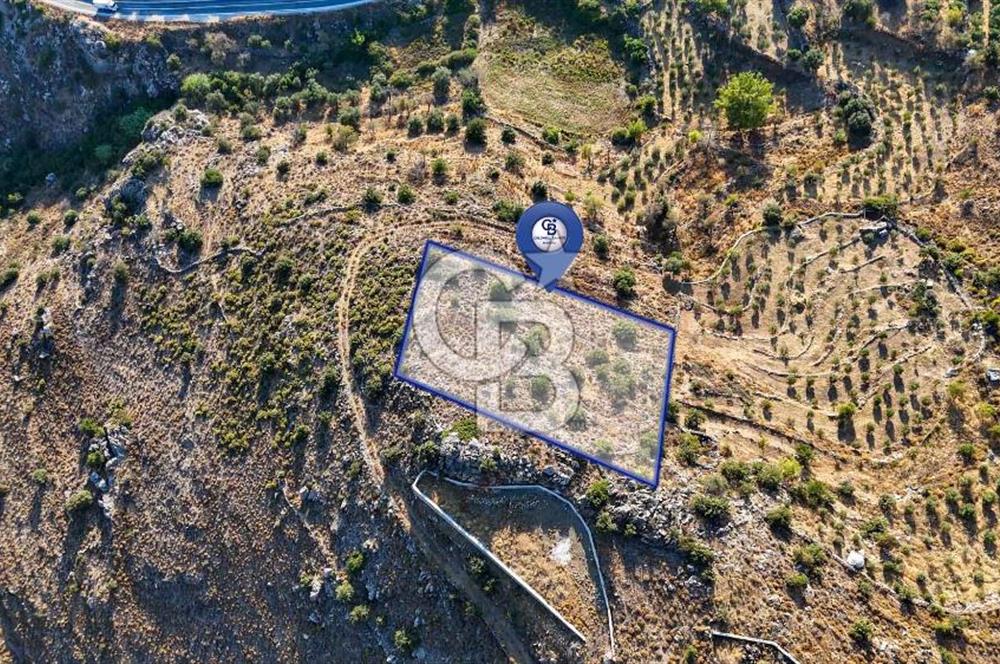 CB MARİNA'DAN MARMARİS BOZBURUN YEŞİLOVA'DA 2731m2 SATILIK TARLA