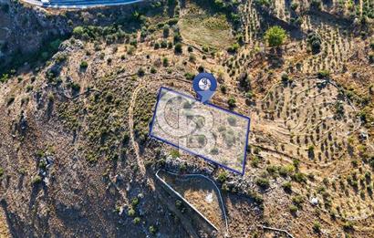 CB MARİNA'DAN MARMARİS BOZBURUN YEŞİLOVA'DA 2731m2 SATILIK TARLA