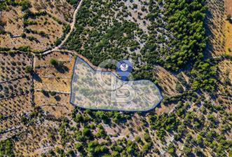 CB MARİNADAN MENTEŞE DENİZOVA'DA SATILIK TARLA - 4 - 338664