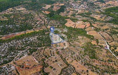 CB MARİNADAN MENTEŞE DENİZOVA'DA SATILIK TARLA