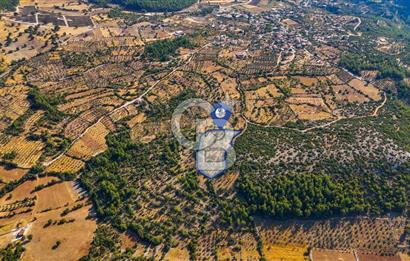 CB MARİNADAN MENTEŞE DENİZOVA'DA SATILIK TARLA