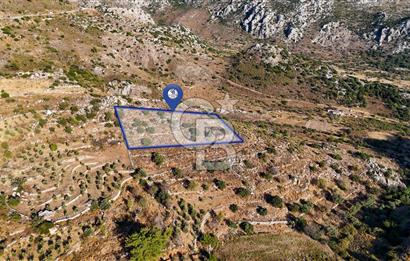 CB MARİNA'DAN MARMARİS BOZBURUN YEŞİLOVA'DA 2731m2 SATILIK TARLA