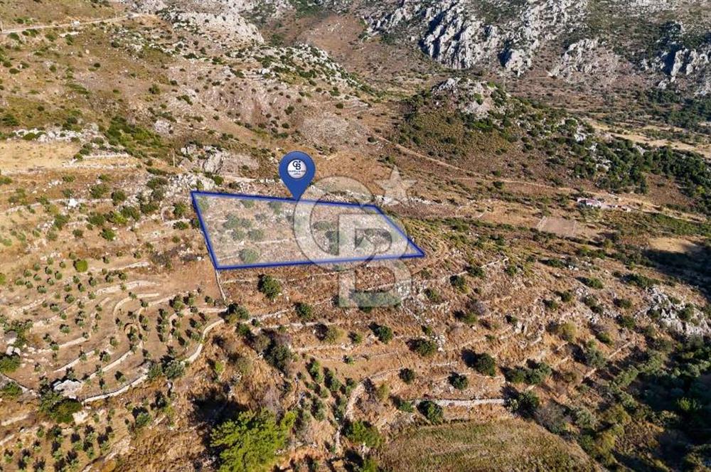 CB MARİNA'DAN MARMARİS BOZBURUN YEŞİLOVA'DA 2731m2 SATILIK TARLA