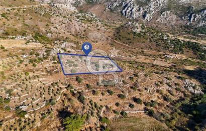 CB MARİNA'DAN MARMARİS BOZBURUN YEŞİLOVA'DA 2731m2 SATILIK TARLA