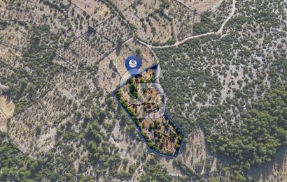 CB MARİNADAN MENTEŞE DENİZOVA'DA SATILIK TARLA