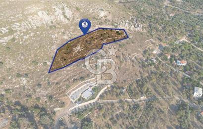 CB MARİNA'DAN MARMARİS BOZBURUN'DA 6218m2 SATILIK TARLA