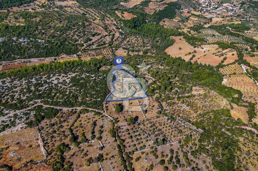 CB MARİNADAN MENTEŞE DENİZOVA'DA SATILIK TARLA