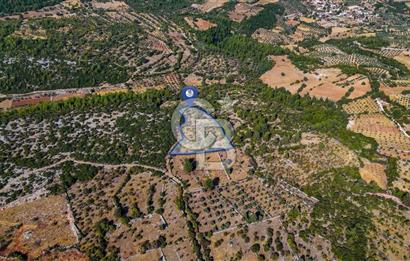 CB MARİNADAN MENTEŞE DENİZOVA'DA SATILIK TARLA