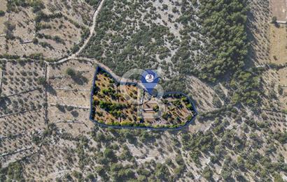 CB MARİNADAN MENTEŞE DENİZOVA'DA SATILIK TARLA