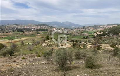 Muğla Menteşe Denizova'da Satılık 2232 m²  80m Yol Cepheli Tarla