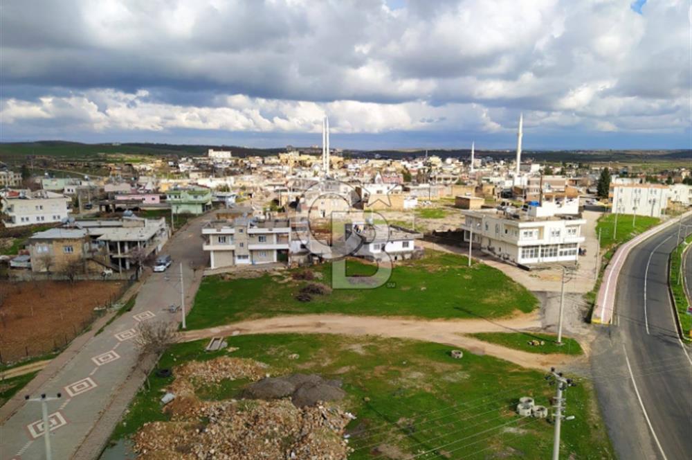 Mardin Midyat Şenköy'de 6768 m2 Yatırımlık Arazi