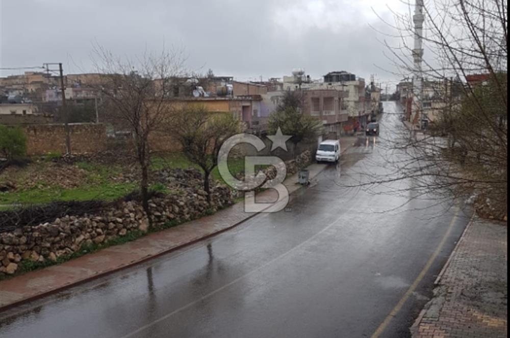 Mardin Midyat Şenköy'de 12.708 m2 lik Yatırımlık Bağ