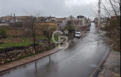 Mardin Midyat Şenköyde 5927 m2 Yatırımlık Bağ