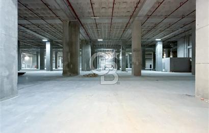 HADIMKÖY YOLU ÜZERİNDE A SINIFI 14.000M²H:9,40 8 RAMPA DEPO