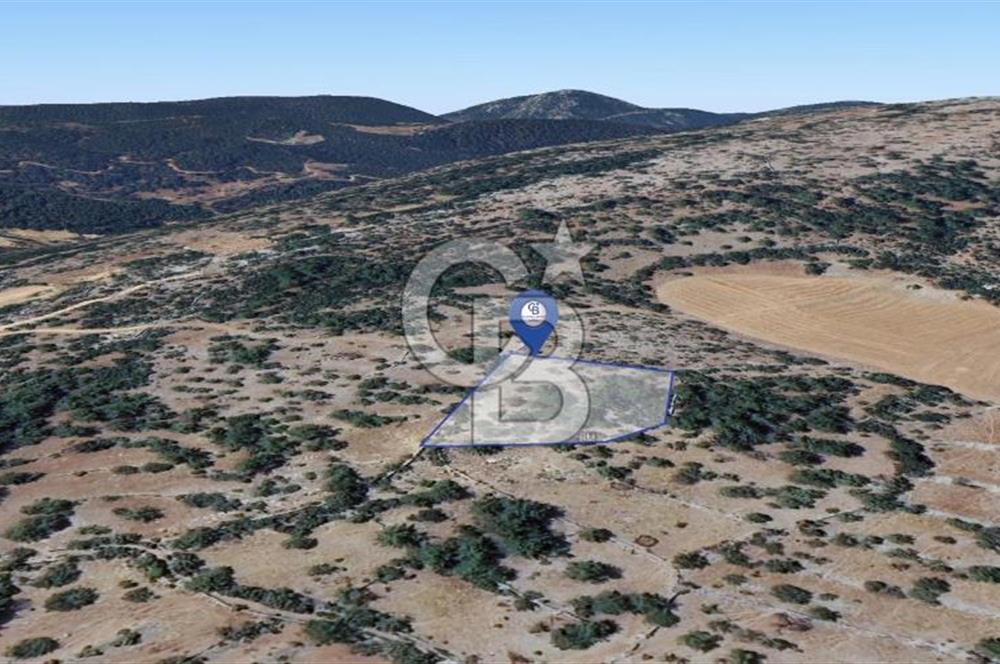 Muğla Menteşe Denizova'da Satılık 947m2 Hisseli Tarla 