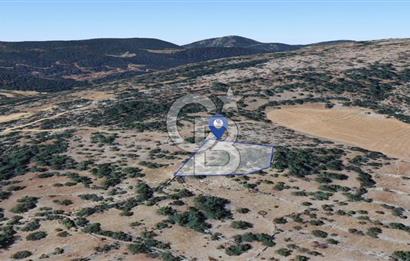 Muğla Menteşe Denizova'da Satılık 947m2 Hisseli Tarla 