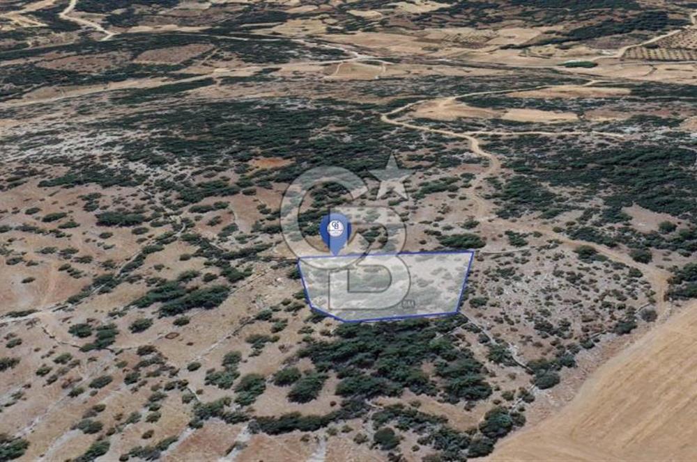 Muğla Menteşe Denizova'da Satılık 947m2 Hisseli Tarla 