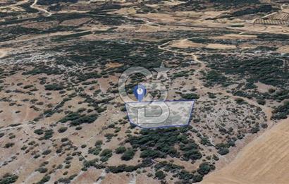 Muğla Menteşe Denizova'da Satılık 947m2 Hisseli Tarla 