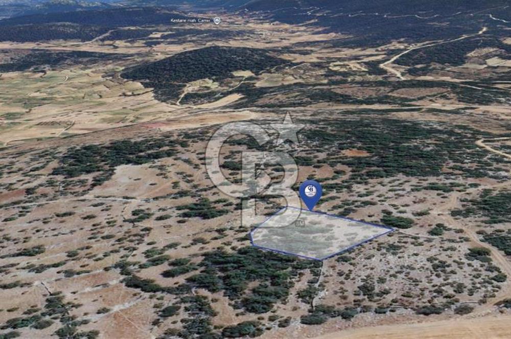 Muğla Menteşe Denizova'da Satılık 947m2 Hisseli Tarla 