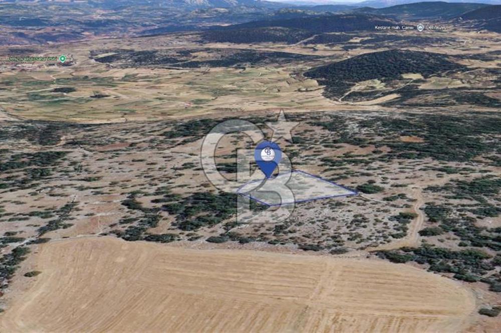 Muğla Menteşe Denizova'da Satılık 947m2 Hisseli Tarla 