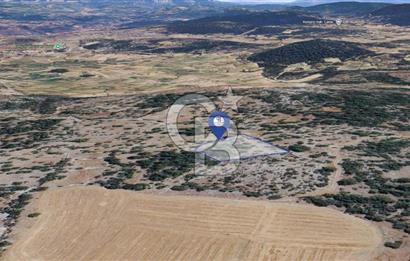 Muğla Menteşe Denizova'da Satılık 947m2 Hisseli Tarla 