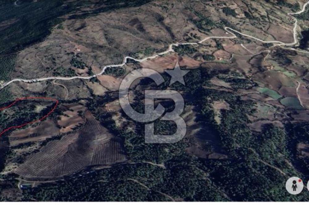 Manisa Ahmetli Bağçecik Mahallesinde 3 adet Tapulu Satılık Tarla