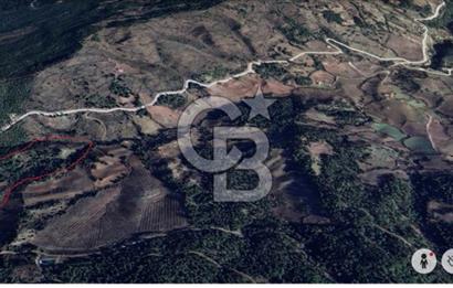 Manisa Ahmetli Bağçecik Mahallesinde 3 adet Tapulu Satılık Tarla