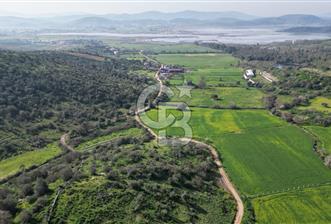 Milas Kemikler Satılık Tarla - 1 - 338756