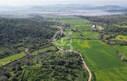 Milas Kemikler Satılık Tarla