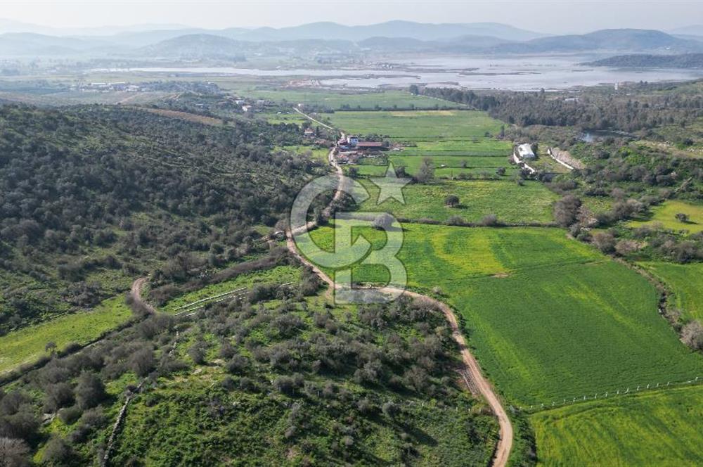 Milas Kemikler Satılık Tarla