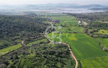 Milas Kemikler Satılık Tarla