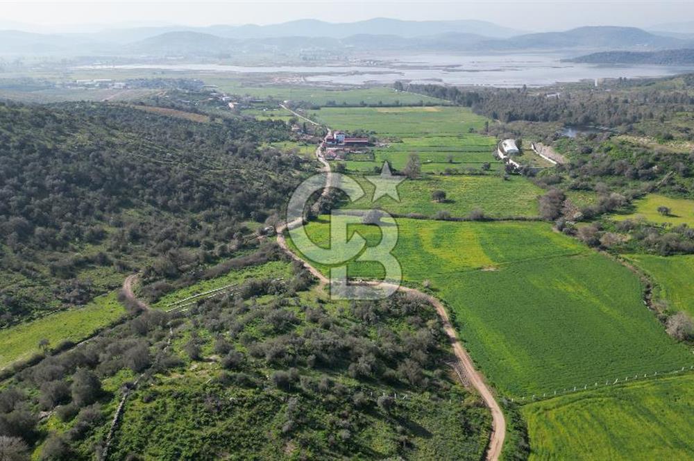 Milas Kemikler Satılık Tarla