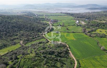 Milas Kemikler Satılık Tarla